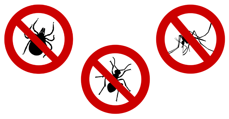 Tips para prevenir plagas y enfermedades en tu huerto