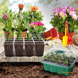 Kit de Germinación