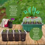 Kit de Germinación