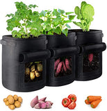 Maceta de Cultivo 5 GL / Para Tomates y frutos
