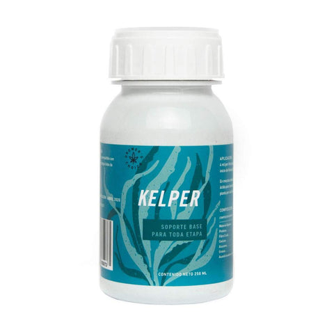 Rootz.MX Kelper 250mL Algas Marinas