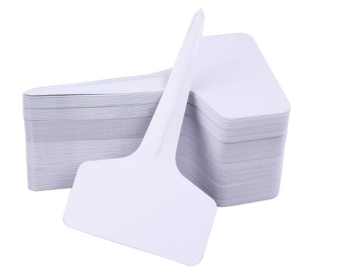 20 Etiquetas Blancas Forma T 2.4 x 4 "