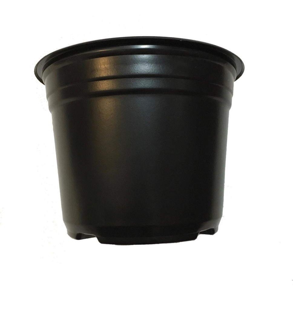 Maceta Termo Negra 8"
