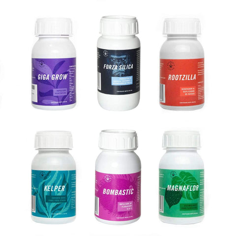 Rootz.MX Kit Avanzado de Auto cultivo