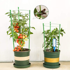 Soporte para Tomates y Frutos