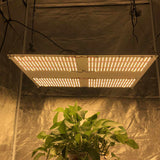 480W Samsung V3 Quantum Board LED