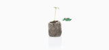 Jiffys (Peat Pellets)