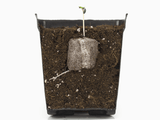 Jiffys (Peat Pellets)