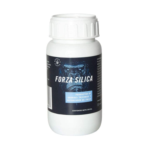 Rootz.MX Forza Silica