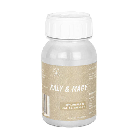 KALY & MAGY