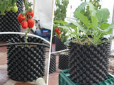 Maceta AirGrow