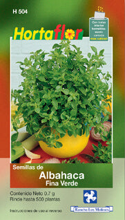 Semilla albahaca fina verde