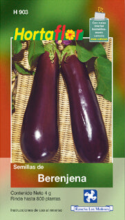 Semilla berenjena