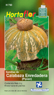 Semillas calabaza enredadera (pipian)