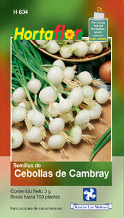 Semillas cebolla cambray