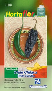 Semilla chile chilaca