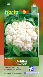 Semillas coliflor