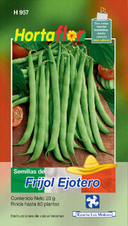 Semillas Frijol Ejotero