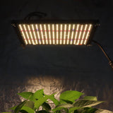 Kit Cultivo Indoor para Principiantes