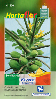 Semillas papaya