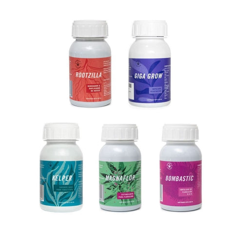 Rootz Mx kit básico auto cultivo