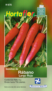 Semillas de Rábano largo rojo
