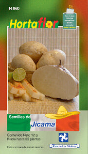 Semillas jícama