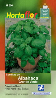 Semillas de Albahaca grande verde