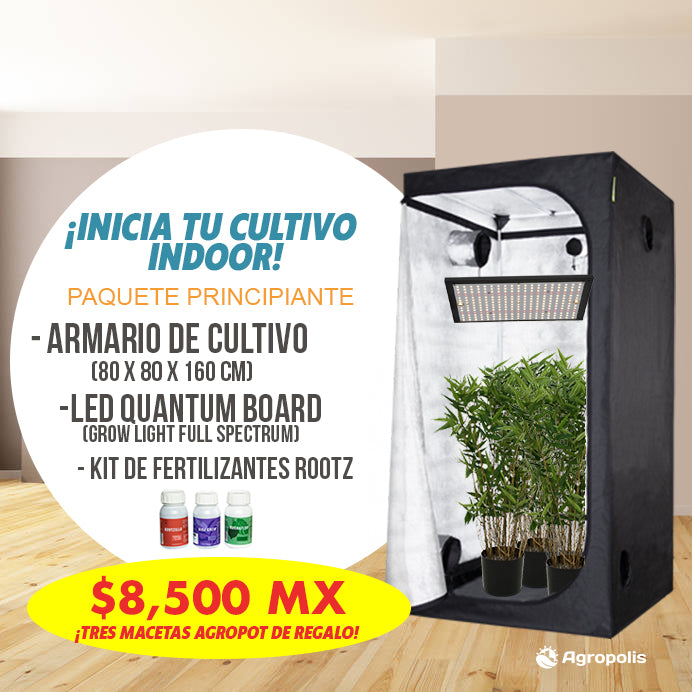 Kit Cultivo Indoor para Principiantes