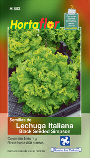 Semilla lechuga italiana