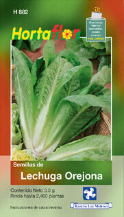 Semillas lechuga orejona