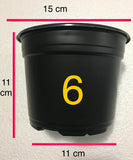 Maceta Termo Negra 6"