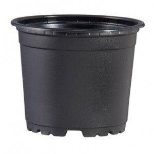Maceta Termo Negra 6"