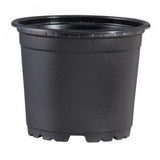 Maceta Termo Negra 6"