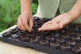 Jiffys (Peat Pellets)