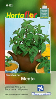 Semillas menta