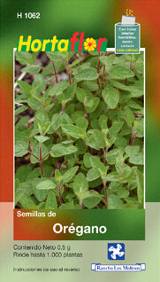 Semilla orégano