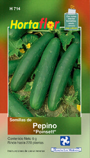 Semilla pepino "Poinsett"