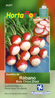 Semilla rábano bola chica (Dúo)