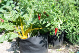Macetas de cultivo AgroPot
