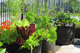 Macetas de cultivo AgroPot